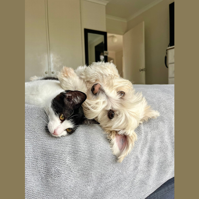 Photo of Betty (And Beatrice)