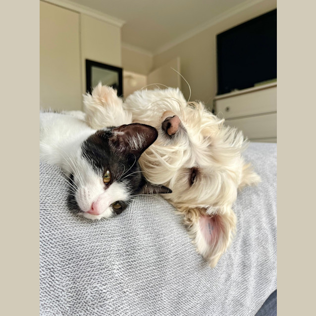 Photo of Beatrice (And Betty)