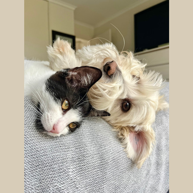 Photo of Beatrice (And Betty)