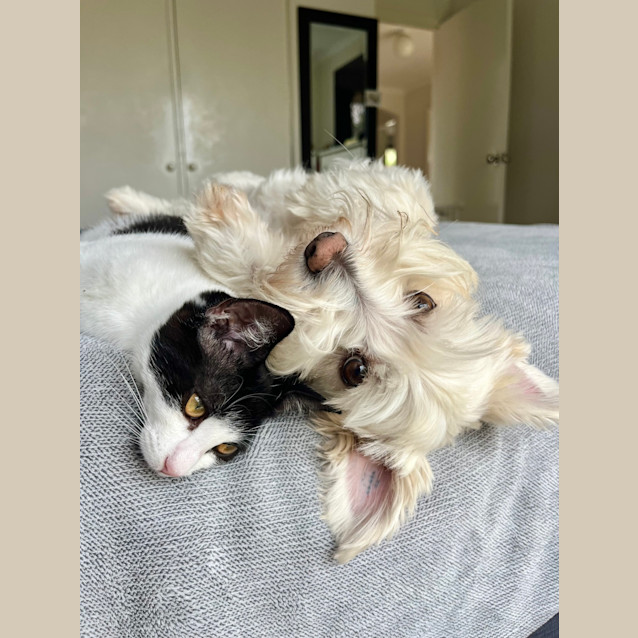 Photo of Beatrice (And Betty)