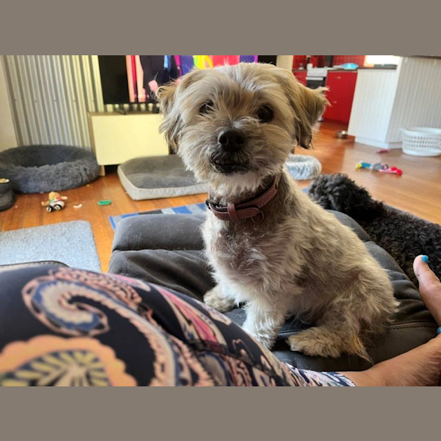 Photo of Mary Dubois