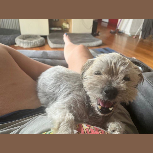 Photo of Mary Dubois