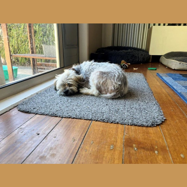 Photo of Mary Dubois