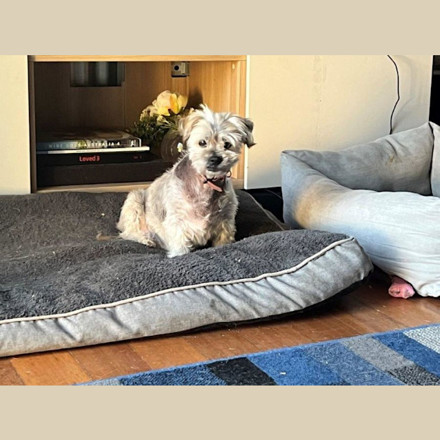 Photo of Mary Dubois