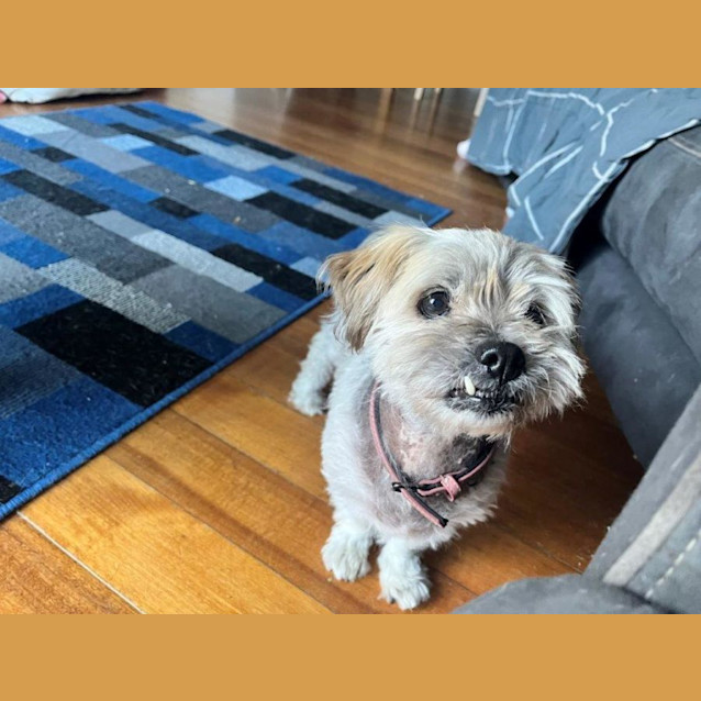 Photo of Mary Dubois