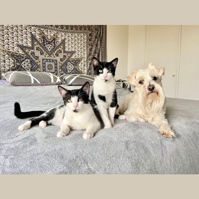 Photo of Betty (And Beatrice)