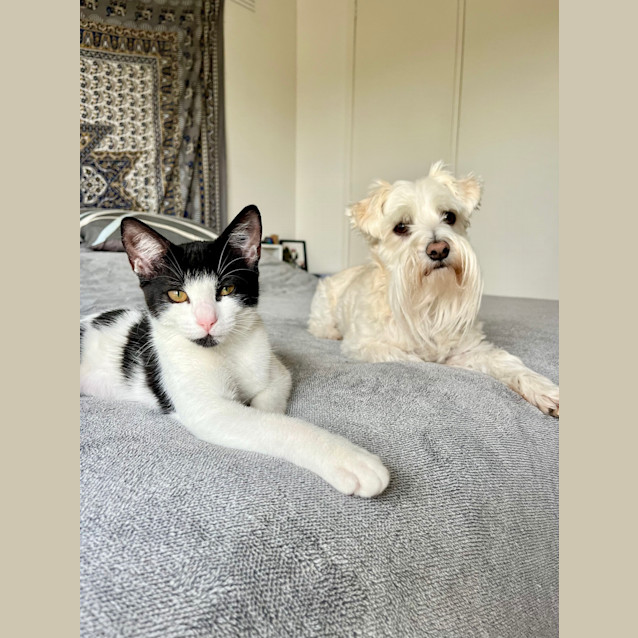 Photo of Betty (And Beatrice)