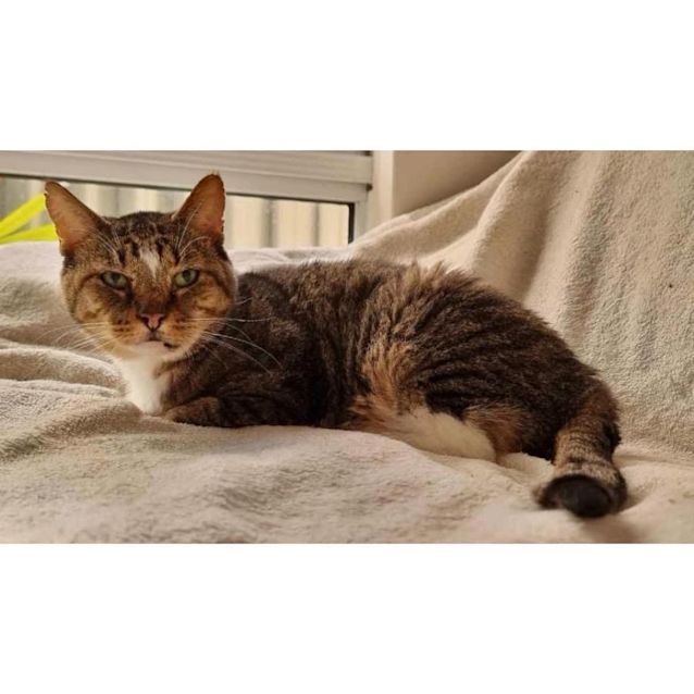 Photo of 3865   Lambo