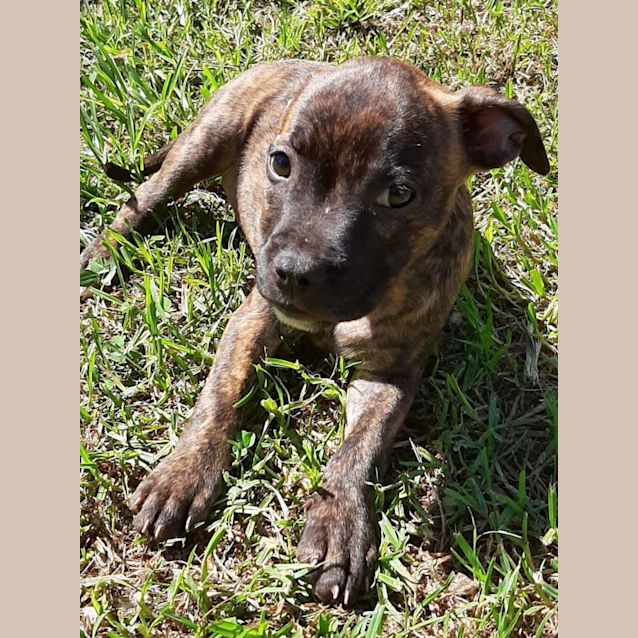 Photo of Bess
