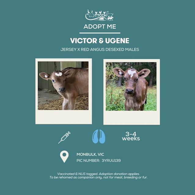 Photo of Victor And Ugene