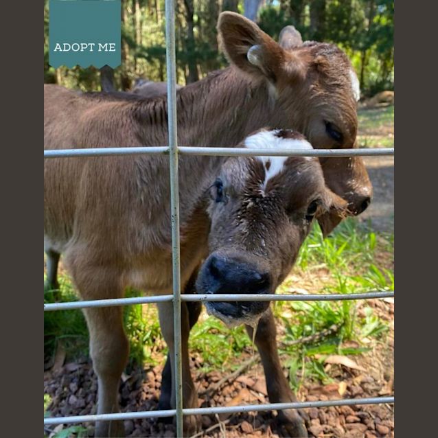 Photo of Victor And Ugene