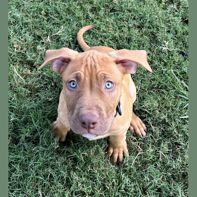 Photo of Reuben