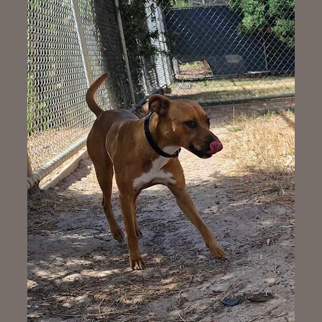 Photo of Turbo
