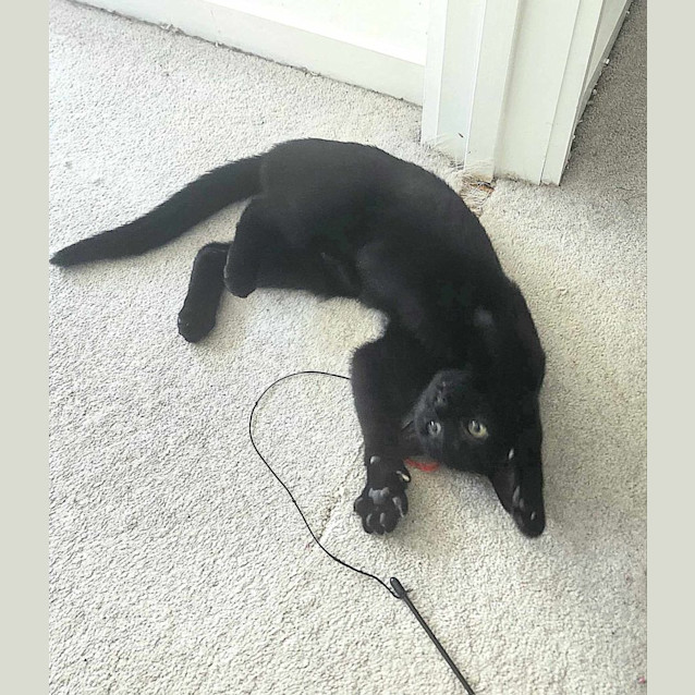 Photo of Eart   Located In Melbourne