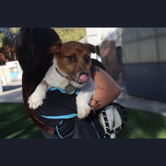 Photo of Travis