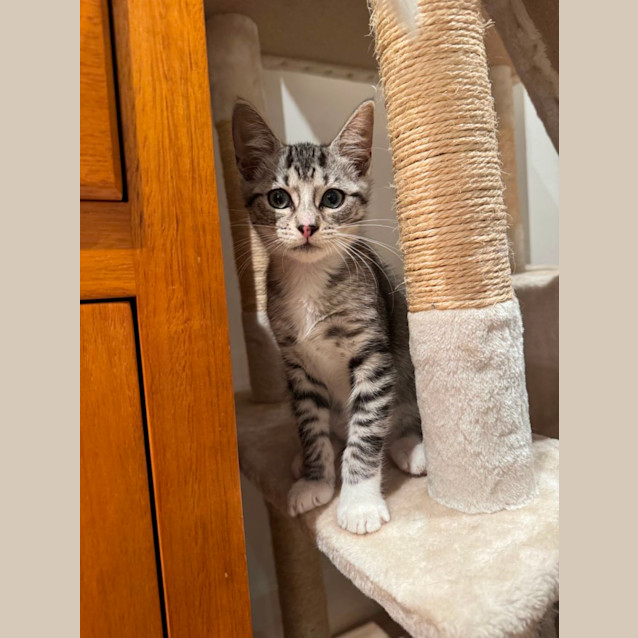 Photo of Lulu