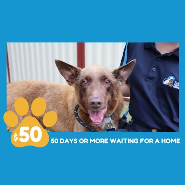 Photo of Red Ted