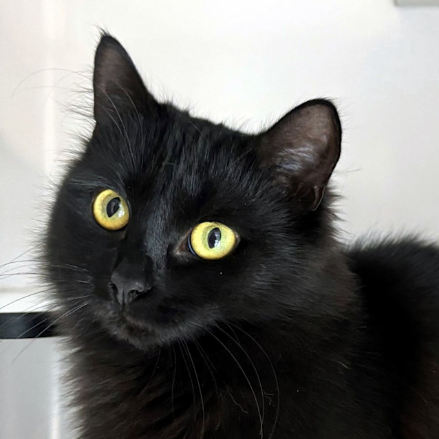 Photo of Liza Sua012254