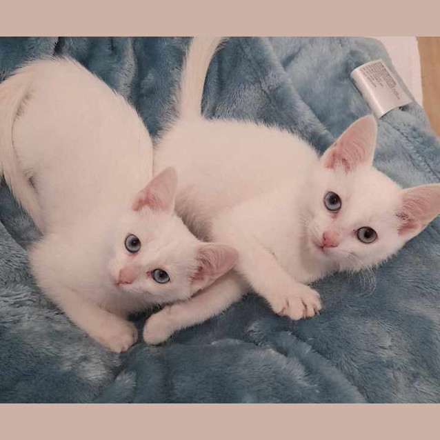 Photo of Marie With Marco