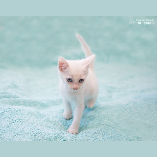 Photo of Marie With Marco