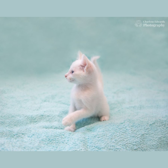 Photo of Marie With Marco