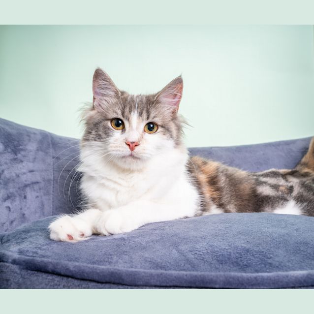 Photo of Penelope