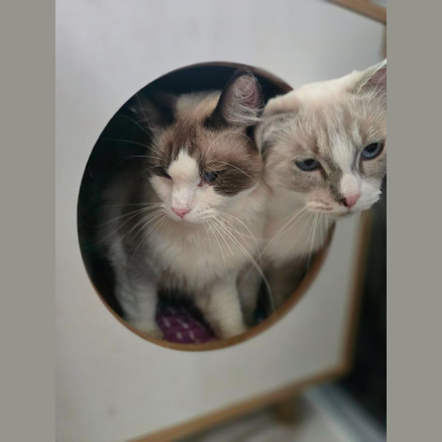 Photo of Bonnie & Cylde 