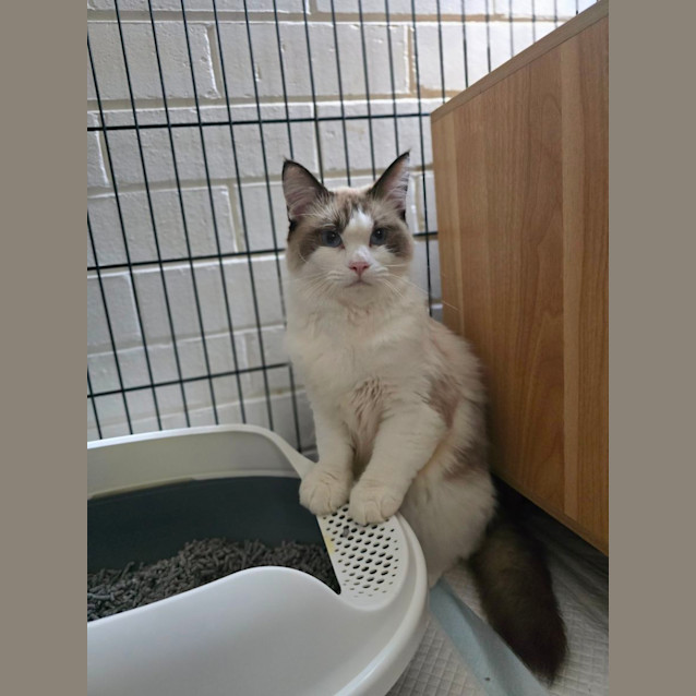 Photo of Bonnie & Cylde 