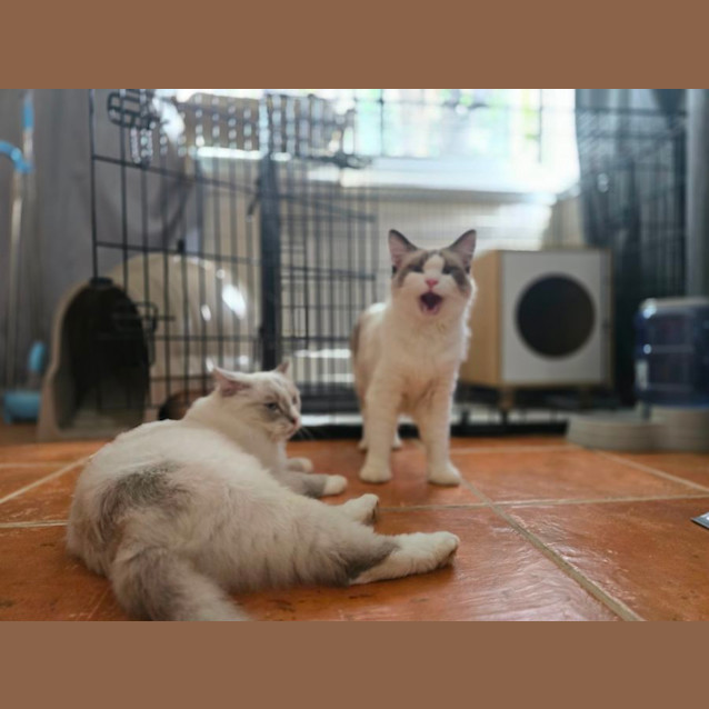 Photo of Bonnie & Cylde 