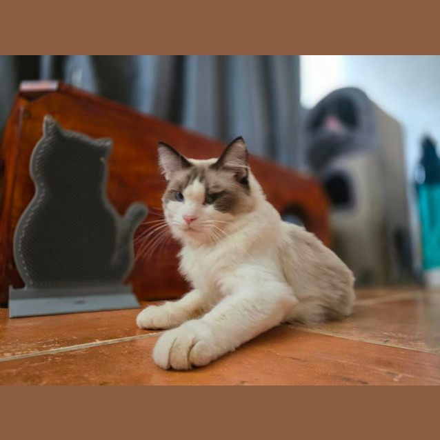 Photo of Bonnie & Cylde 