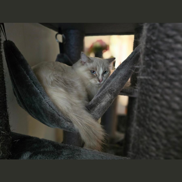 Photo of Bonnie & Cylde 