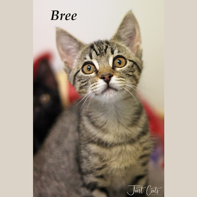 Photo of Bree