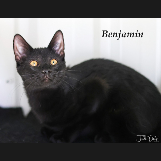 Photo of Benjamin