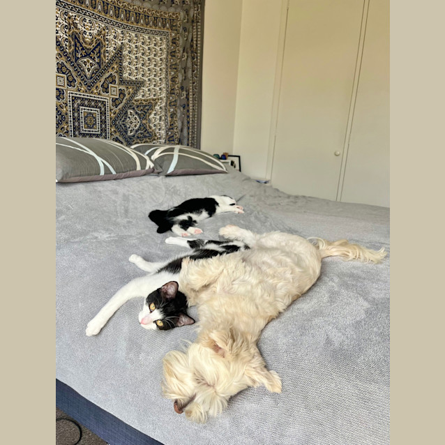 Photo of Betty (And Beatrice)