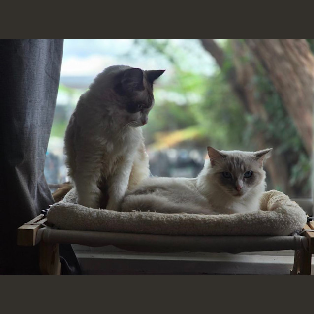 Photo of Bonnie & Cylde 