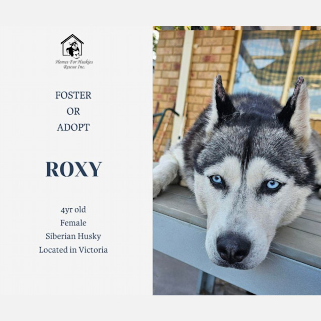 Photo of Roxy