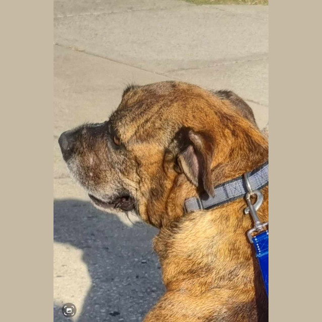 Photo of Oscar 