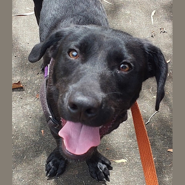 Photo of Ace