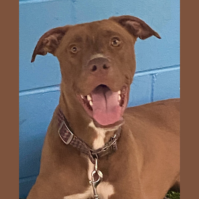 Photo of Remy