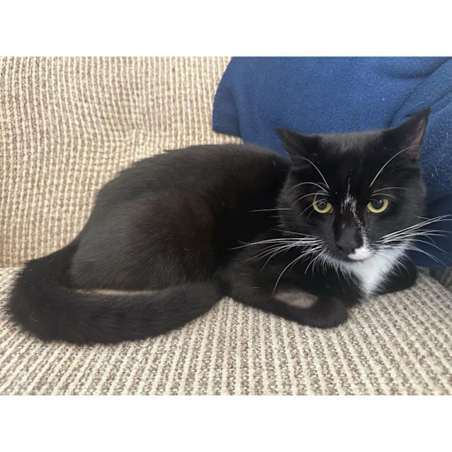 Photo of 10621   Keanu