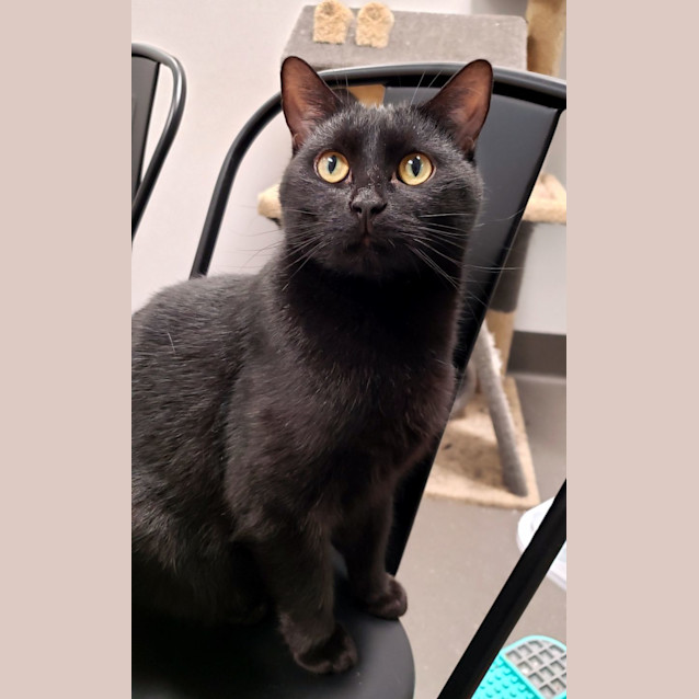 Photo of Pascal Sta011900