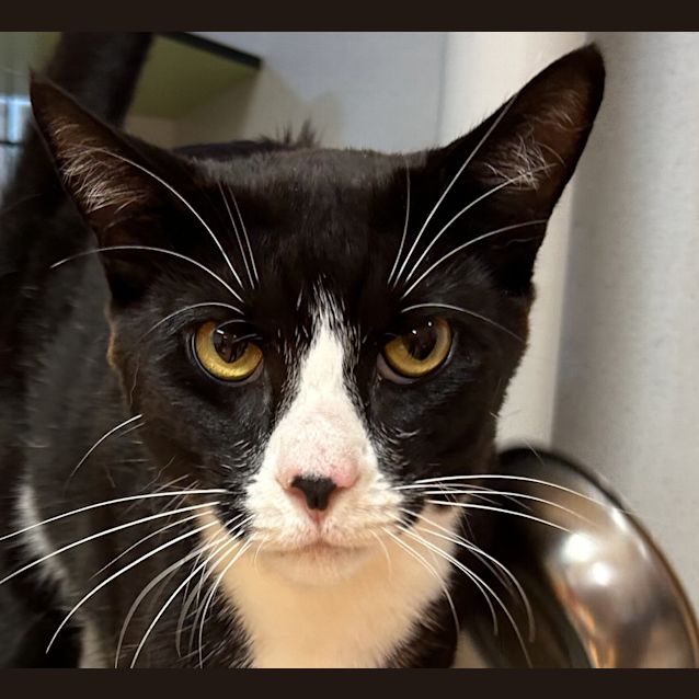 Photo of Larry