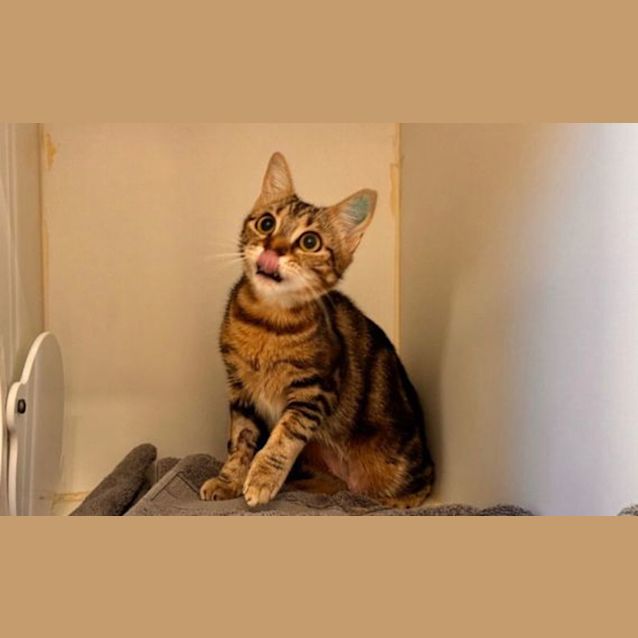 Photo of Susie