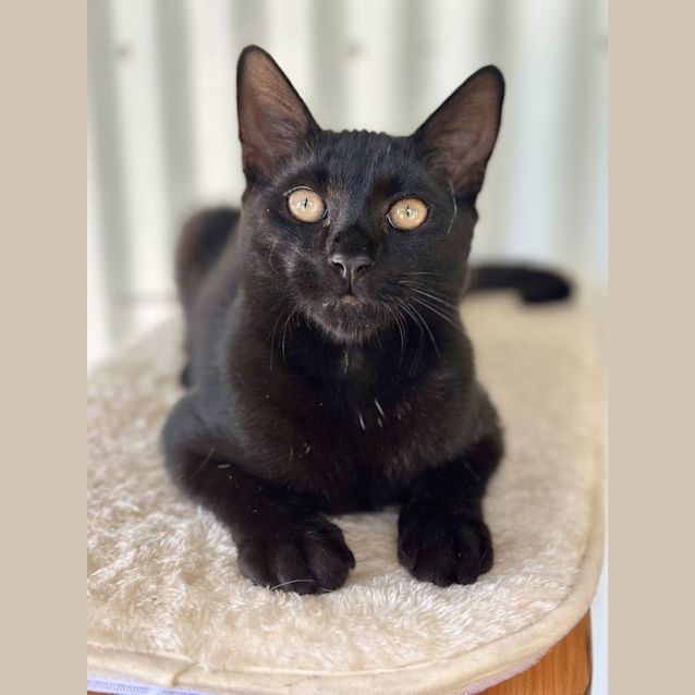 Photo of Benny