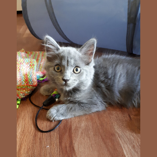Photo of Bonnie