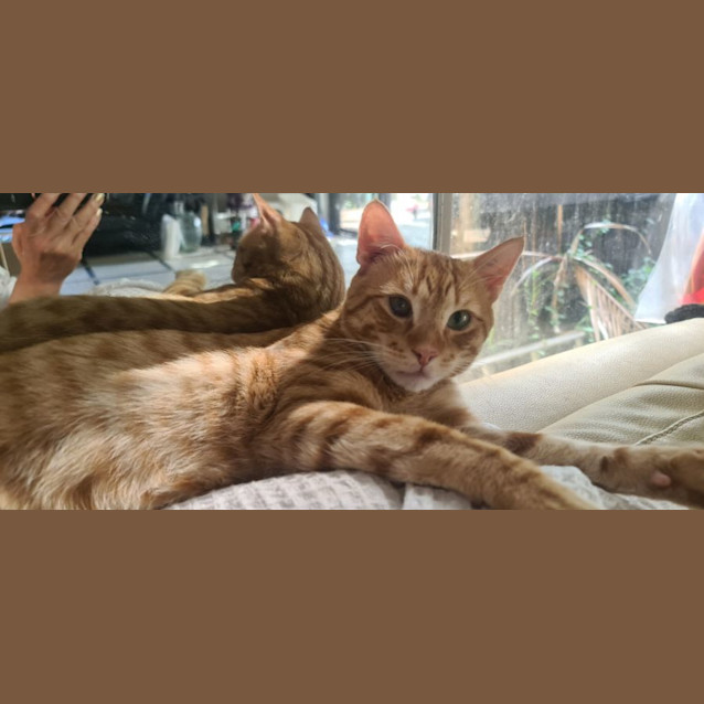 Photo of Pirate Aka Jack