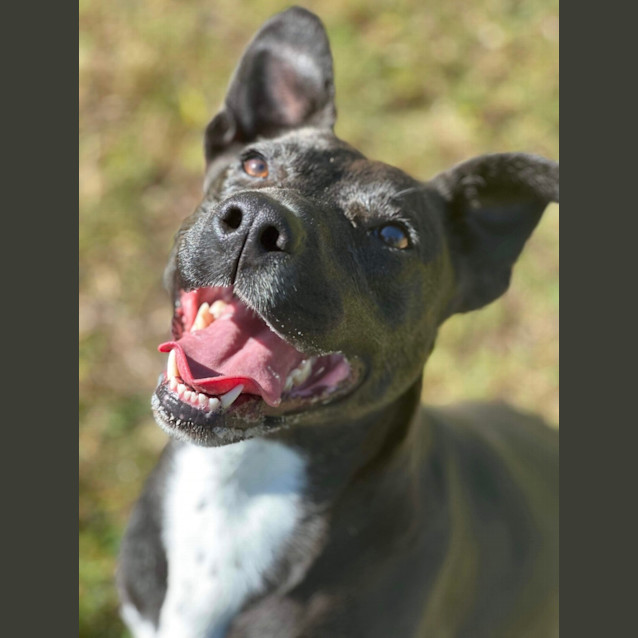 Photo of Roxy