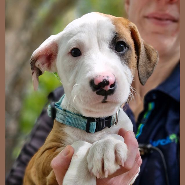 Photo of Alpha