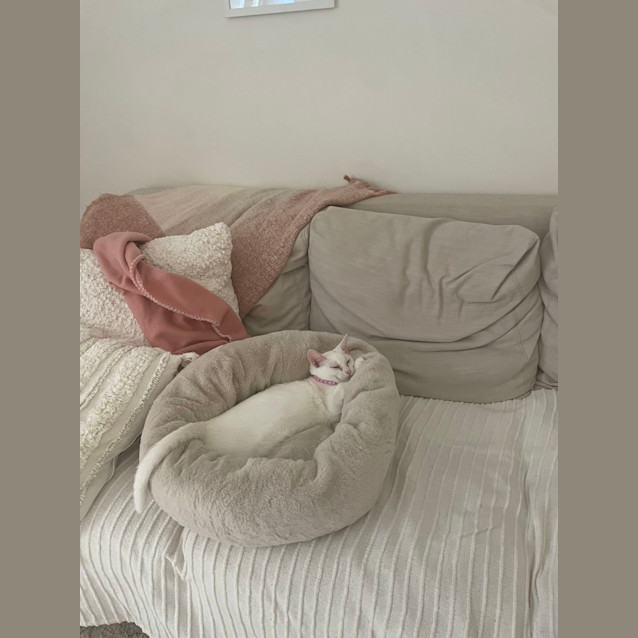 Photo of Sookie & Snow