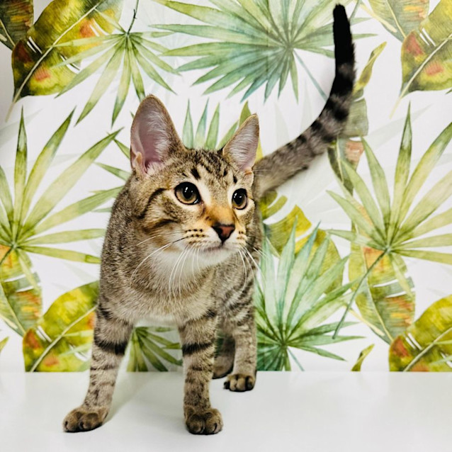 Photo of Kylie   Located In Preston